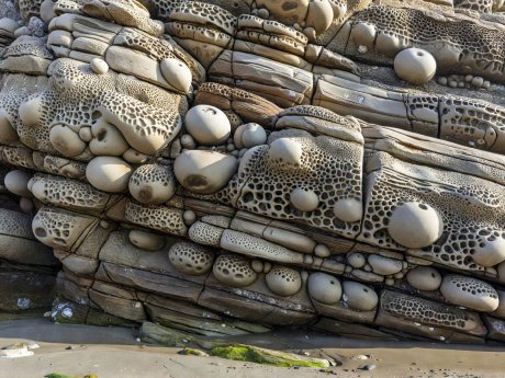 Tilted Eocene marine sandstone beds carved with spherical concretions and honeycomb fretwork